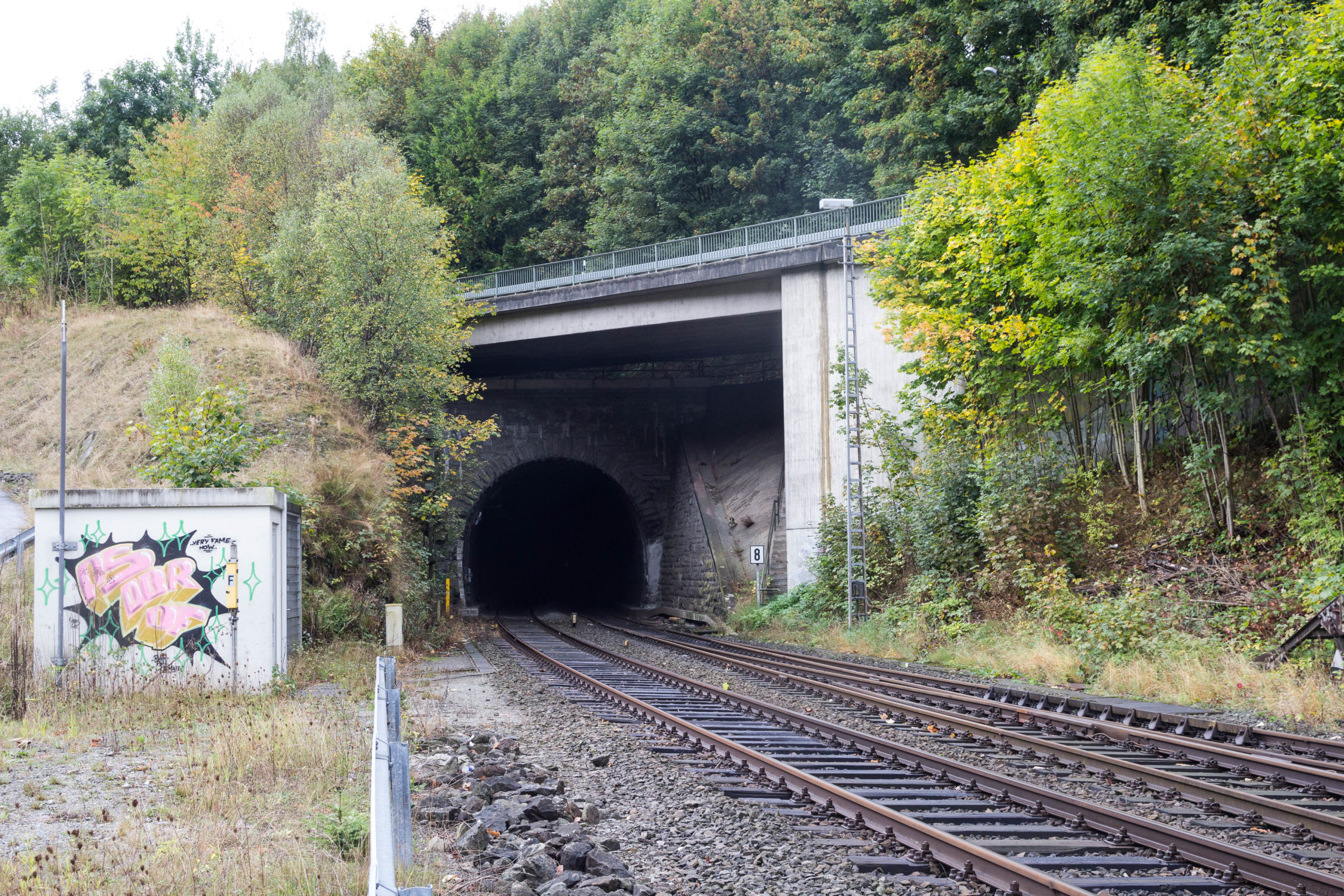 Tunnel renovation - Elleringhausen - tunnel entry