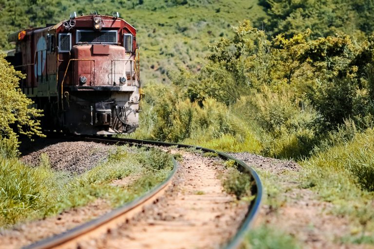 Train in the middle of vegetation in the region of Botucatu, SP, Brazil